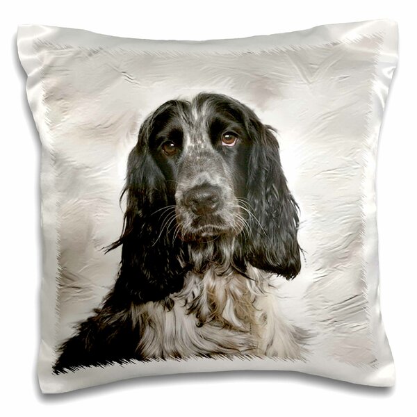 spaniel throw